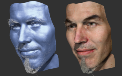 Coupled 3D Reconstruction of Sparse Facial Hair and Skin
