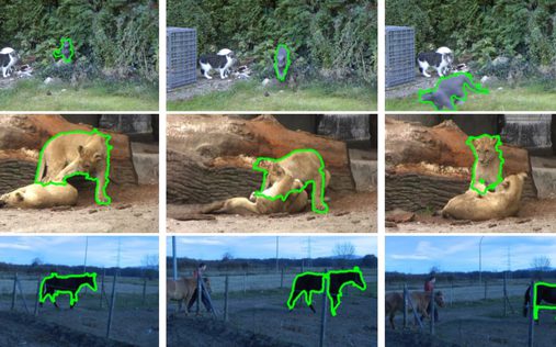 Fully Connected Object Proposals For Video Segmentation