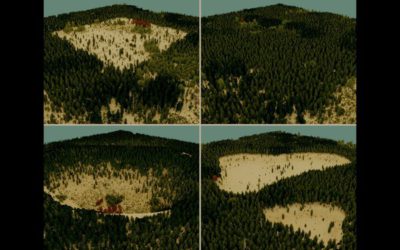 Guided Ecological Simulation For Artistic Editing of Plant Distributions In Natural Scenes