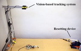 Automated Deep Reinforcement Learning Environment for Hardware of a Modular Legged Robot