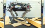 Towards Automatic Discovery of Agile Gaits for Quadrupedal Robots