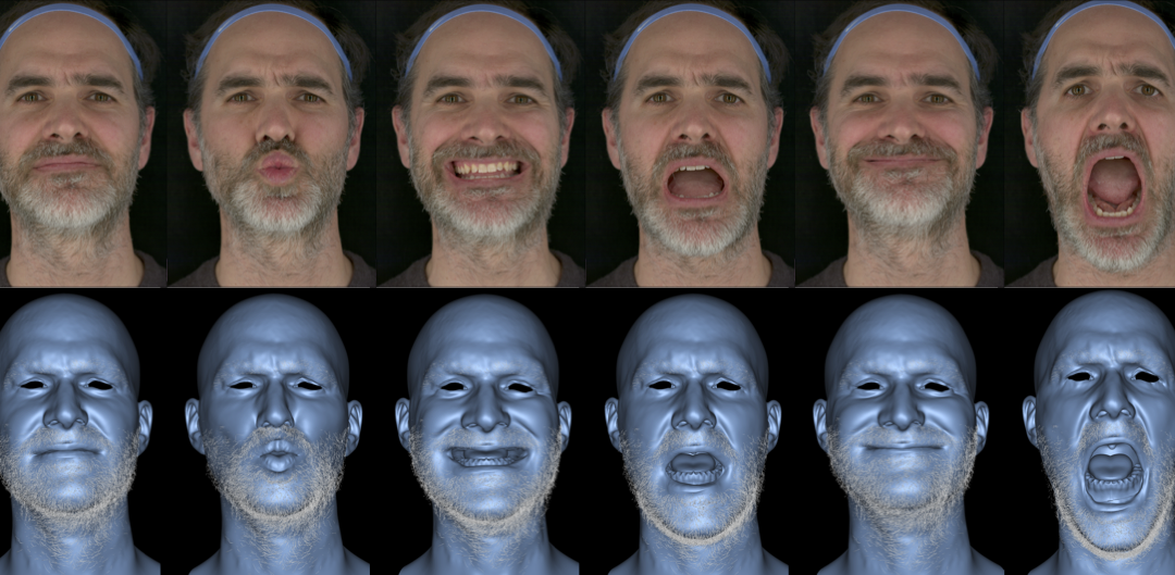 Facial Hair Tracking for High Fidelity Performance Capture