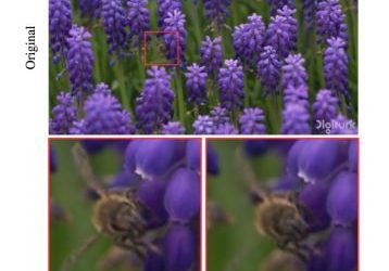 Video Compression with Entropy-Constrained Neural Representations