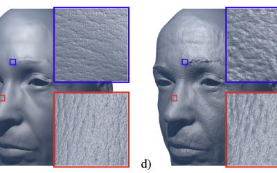 Graph-Based Synthesis for Skin Micro Wrinkles