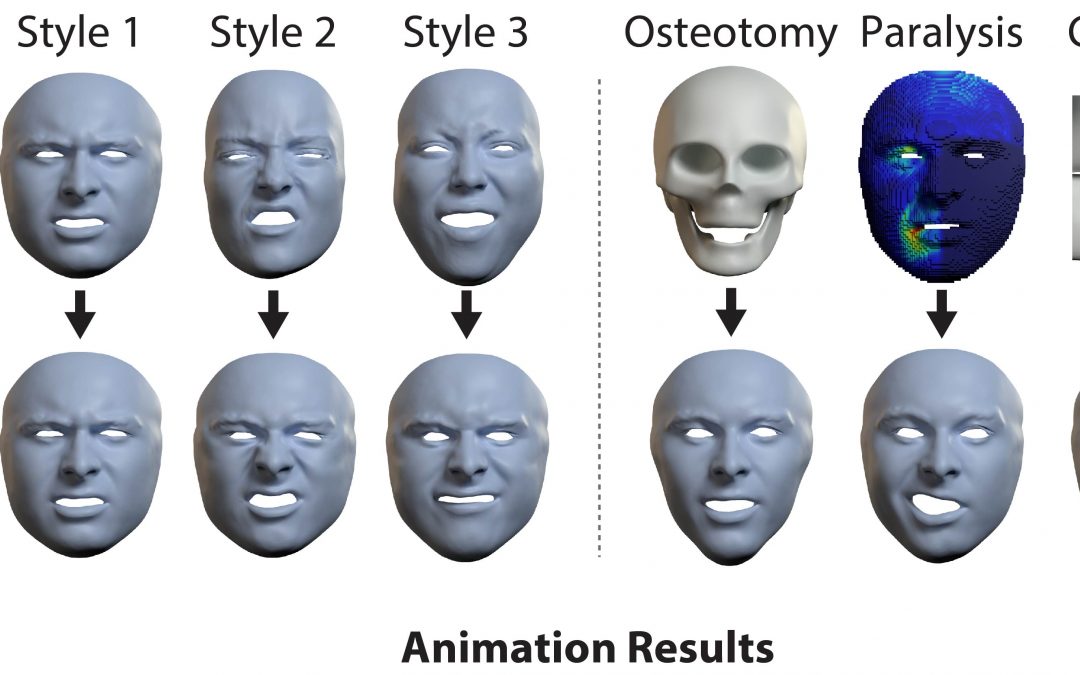 An Implicit Physical Face Model Driven by Expression and Style