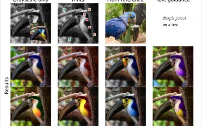 Versatile Vision Foundation Model for Image and Video Colorization