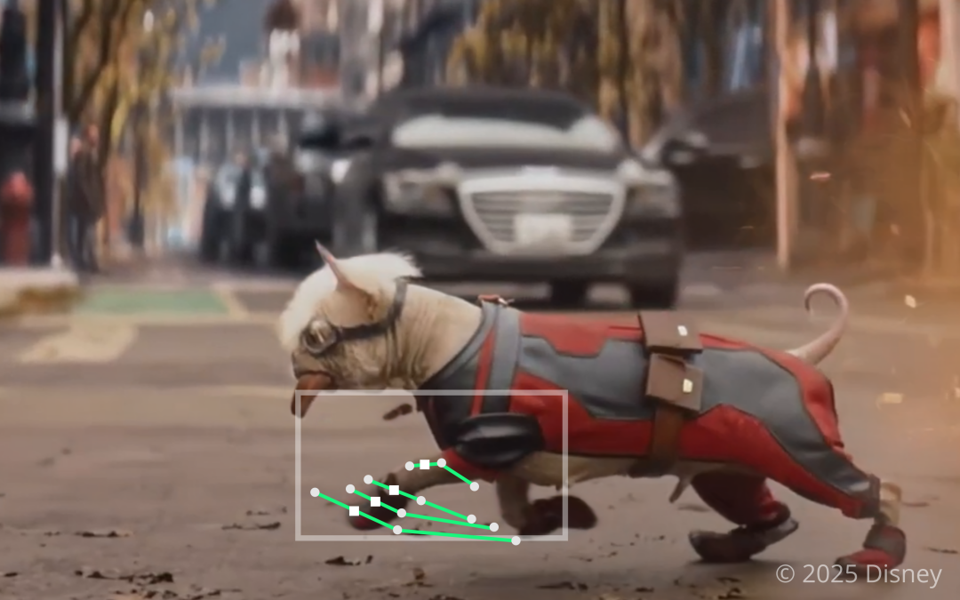 Controllable Tracking-Based Video Frame Interpolation