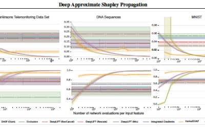 Explaining Deep Neural Networks with a Polynomial Time Algorithm for Shapley Value Approximation