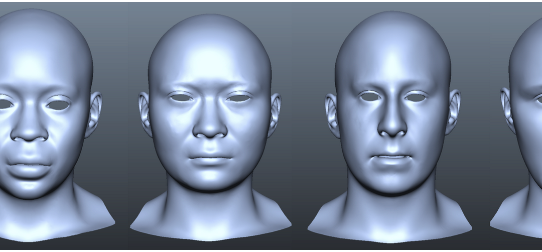 Interactive Sculpting of Digital Faces Using an Anatomical Modeling Paradigm