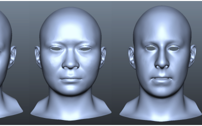 Interactive Sculpting of Digital Faces Using an Anatomical Modeling Paradigm