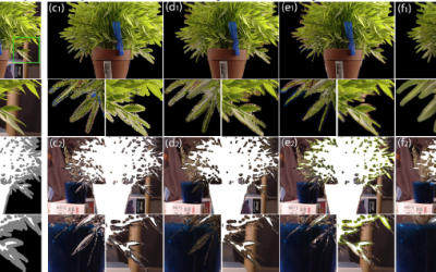 Learning-based Sampling for Natural Image Matting