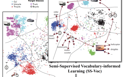Completed Semi-supervised Vocabulary-informed Learning