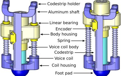 Design of a Hopping Mechanism Using a Voice Coil: Linear Elastic Actuator in Parallel (LEAP)