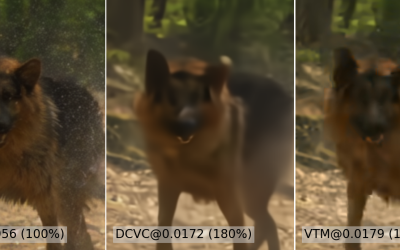 Spatiotemporal Diffusion Priors for Extreme Video Compression